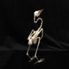 graceful pond heron skeleton