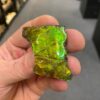 Ammolite Specimen 2