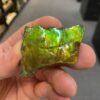 Ammolite Specimen 2