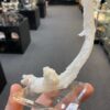 Rams Horn Selenite China