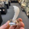 Rams Horn Selenite China