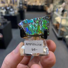 Ammolite specimen 1