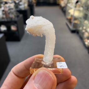 Rams Horn Selenite China