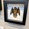 Small brown bat semi folded